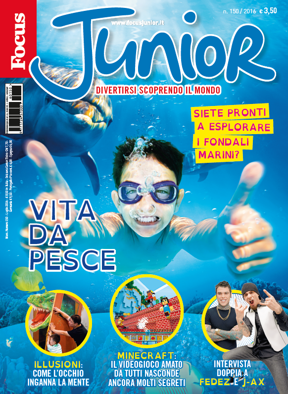 Nuovo Focus Junior